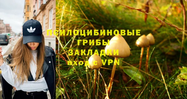 круглые Алексин